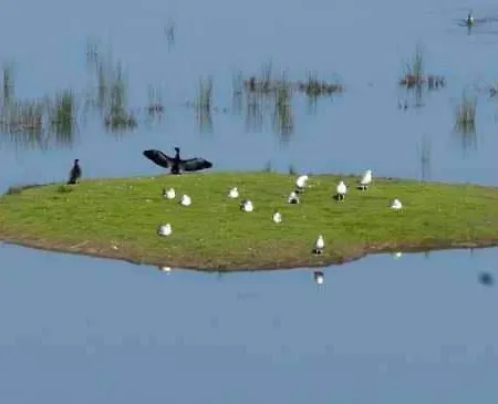 Near Bilbao L-bi-57 아파트 *